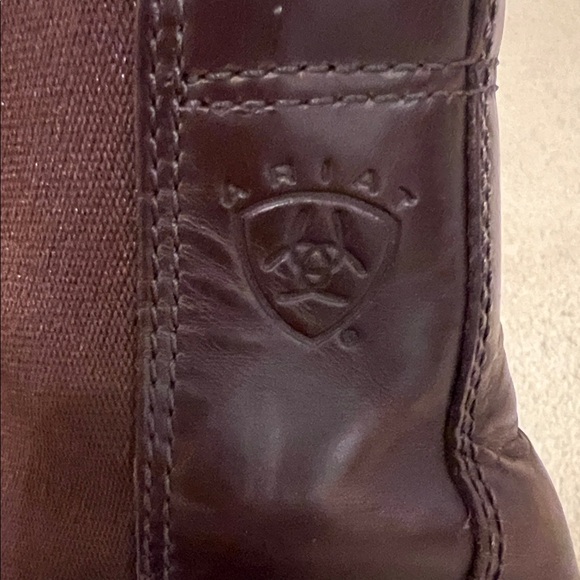 Ariat Devon Zip Paddock Boots in Wax Chocolate - Brown Leather - Picture 8 of 12